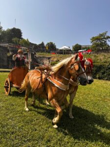 Char en cuir et en bois, tiré par deux chevaux